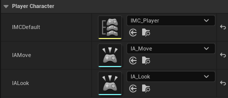 Setting Input Action Variables in Blueprint